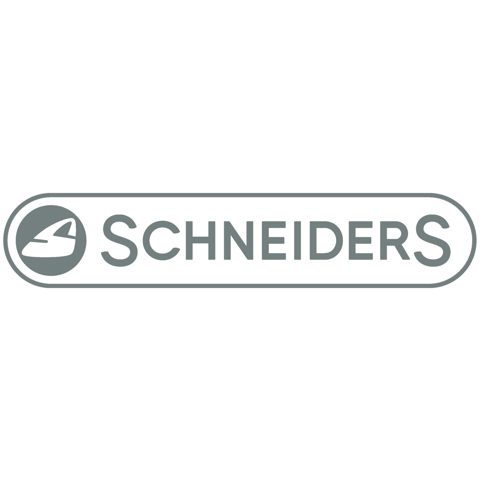 Home Schneiders the bag Company Schneiders Company